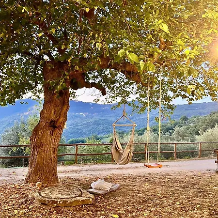 Agriturismo Nonno Ninuccio Gioi Exterior photo