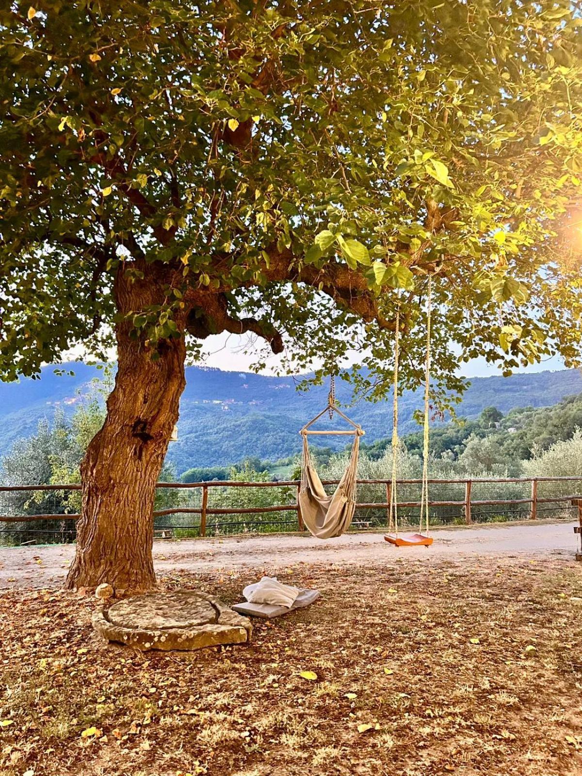 Nonno Ninuccio